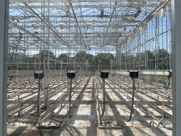 用 AI 种菜的农业科学家们，试图发起一场产业革命