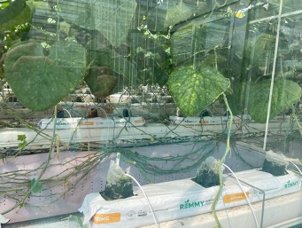 用 AI 种菜的农业科学家们，试图发起一场产业革命